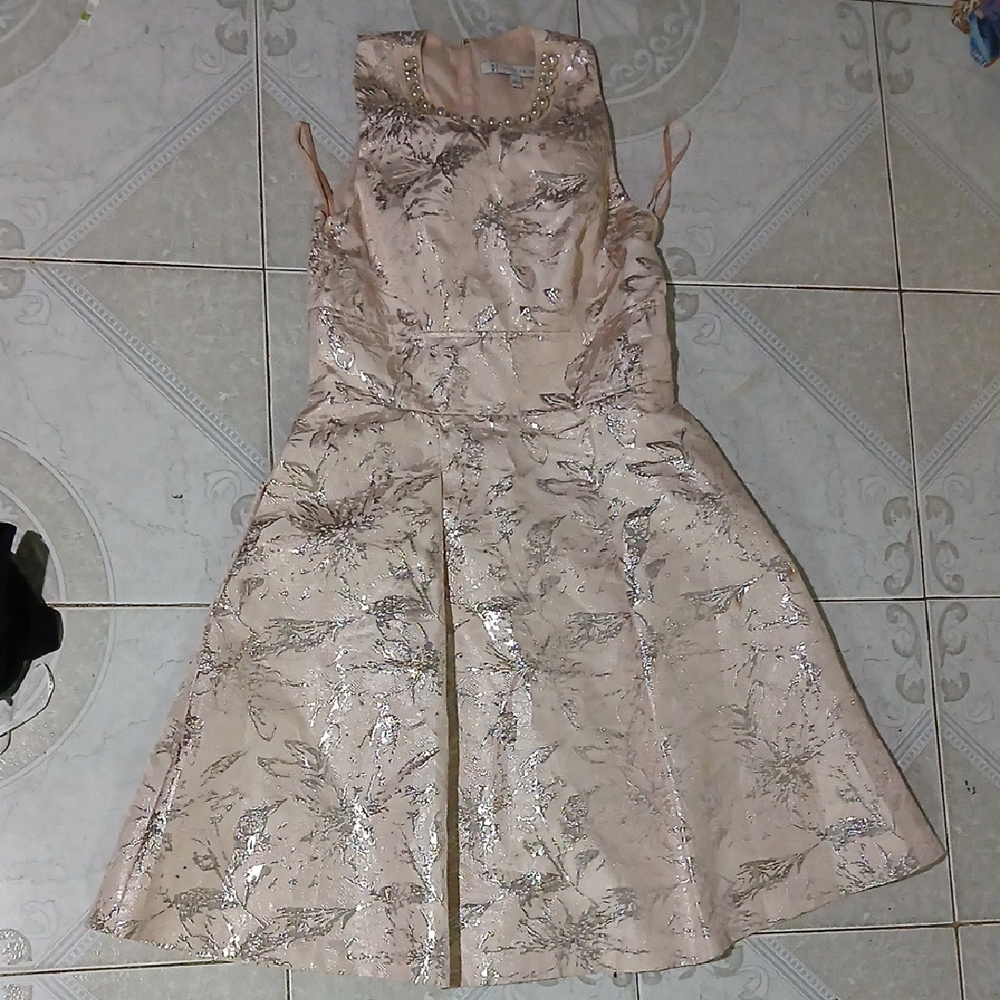 Elegant Sleeveless Dress with Silver Accents